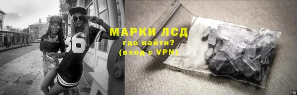 спиды Горняк