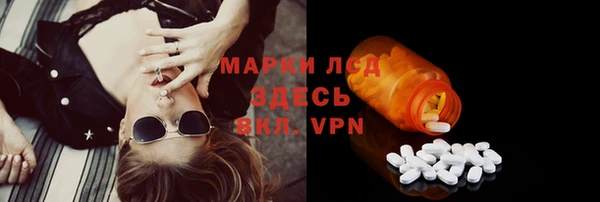 амф Вяземский