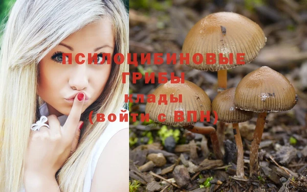амф Вяземский