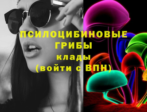 амф Вяземский