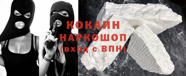 спиды Горняк