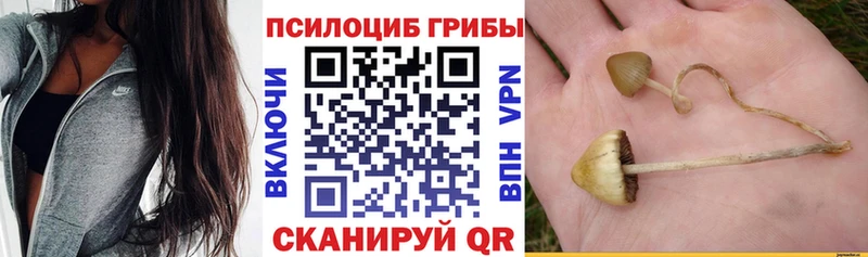 Галлюциногенные грибы мухоморы  Купить где  Старая Купавна 